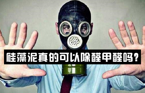 硅藻泥真的可以除醛甲醛吗？